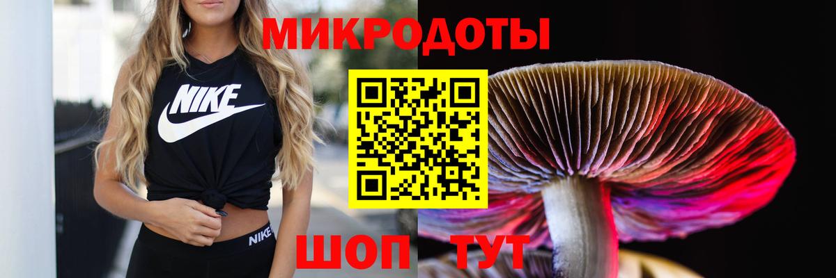 Ефремов  Псилоцибиновые грибы Cubensis  Вход с VPN  Галлюциногенные грибы мицелий 